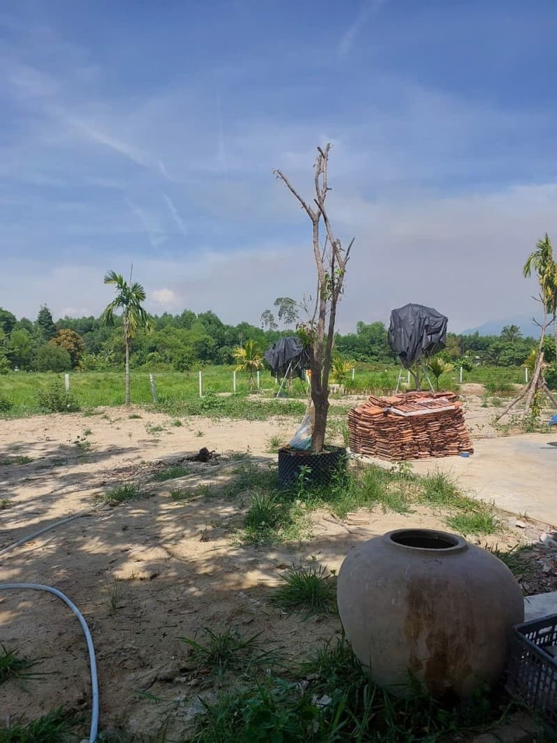 Nhà cấp 4 926m² mặt tiền 34m Thôn 5 Xã Hoà Khương, Hoà Vang — ô tô đỗ cửa