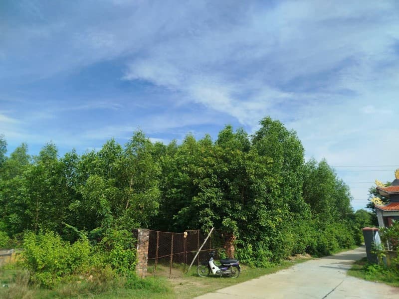 Đất 15m² mặt tiền 110m Thôn Phú sơn 2, Hoà Vang — tiềm năng kinh doanh, tiềm năng tăng giá, có dòng tiền, khai thác du lịch