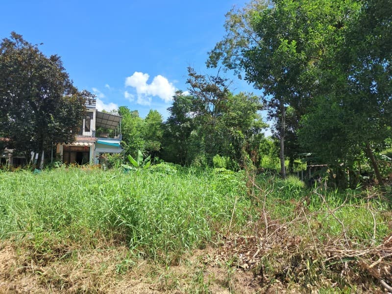 Đất 150m² mặt tiền 7m Thôn Nam Quan 4, Hoà Vang — ô tô đỗ cửa, có dòng tiền