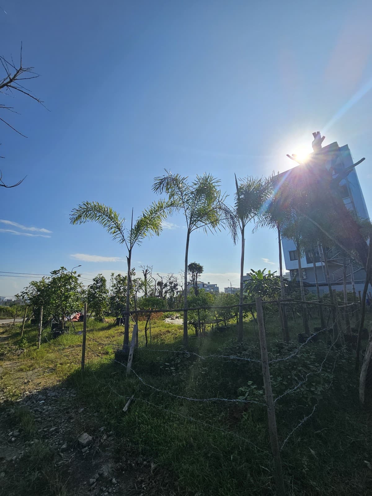 Đất 125m² mặt tiền 5m Phi Bình 1, Ngũ Hành Sơn — mặt tiền đường lớn, ô tô đỗ cửa, tiềm năng tăng giá, có dòng tiền