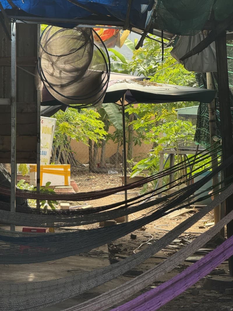 Đất 479m² mặt tiền 10.2m Trần Đại Nghĩa, Ngũ Hành Sơn — tiềm năng kinh doanh, mặt tiền đường lớn, ô tô đỗ cửa, có dòng tiền