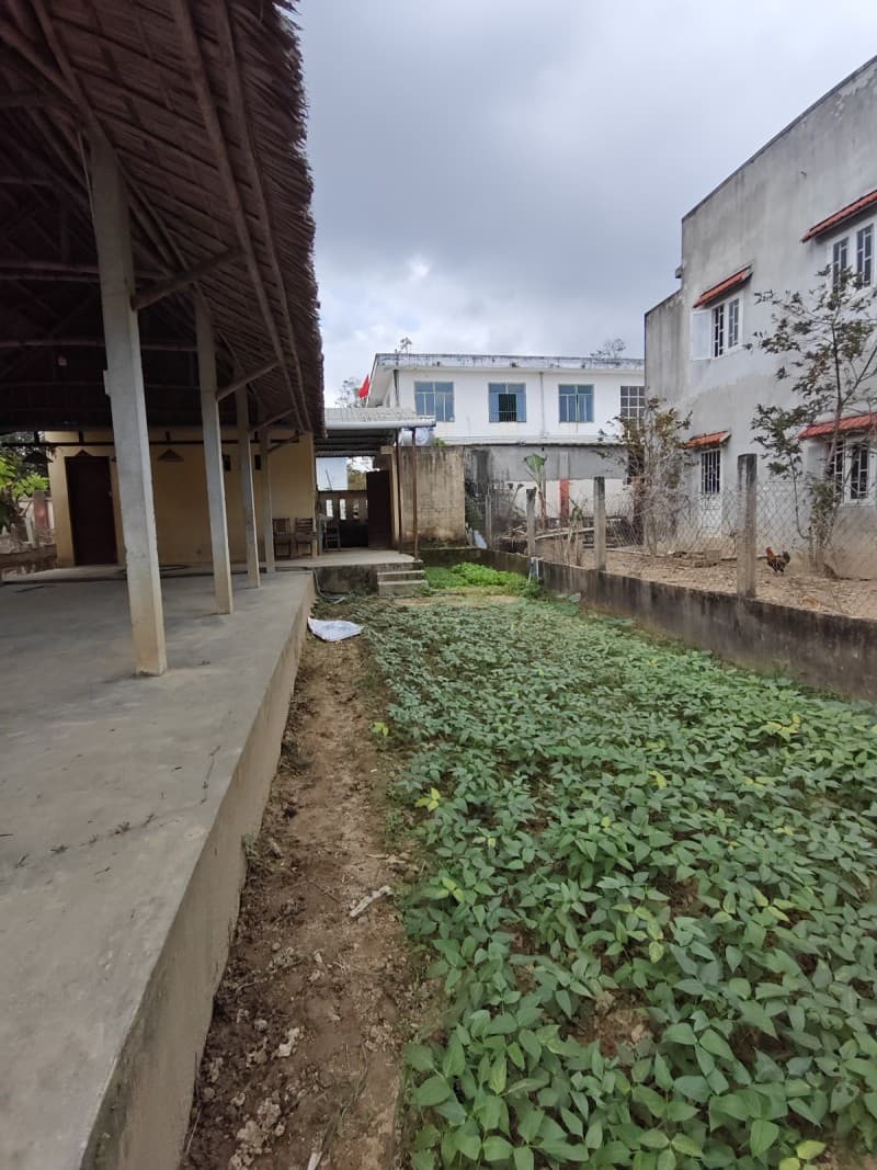 Nhà 200m² (1x200) Duy Vinh Duy Xuyên Hội An