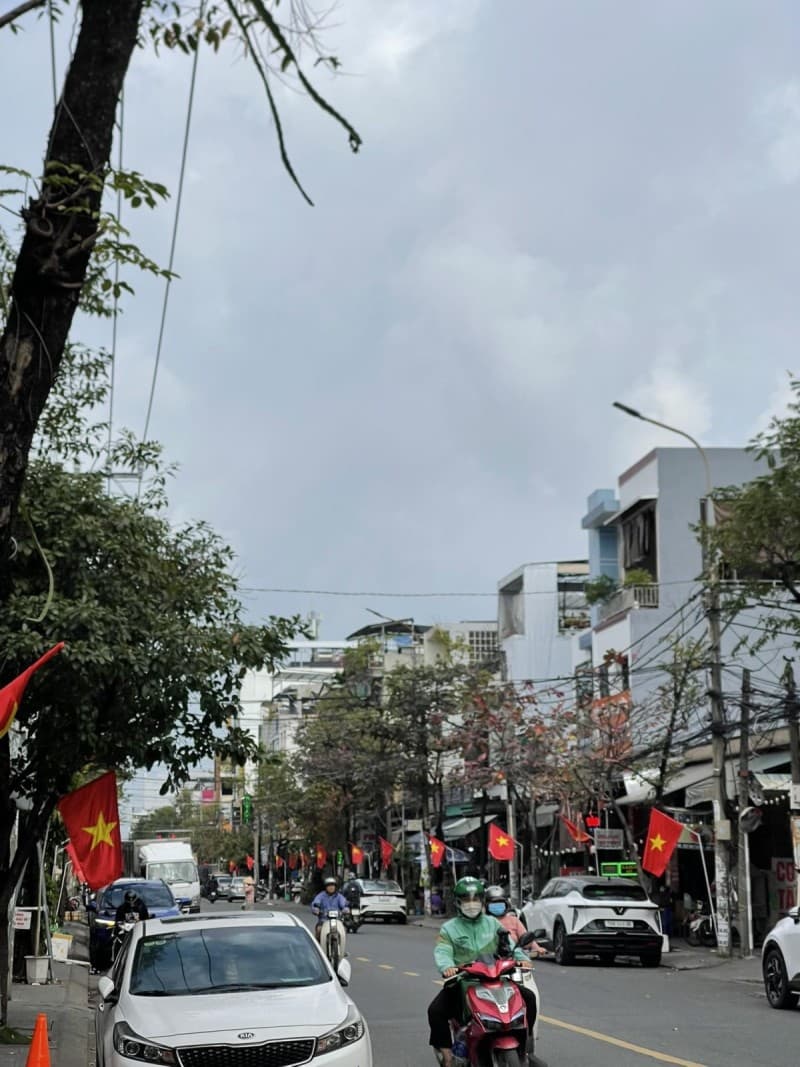 Nhà 225m² (8x28.1) mặt tiền Núi Thành Liên Chiểu — kinh doanh tốt