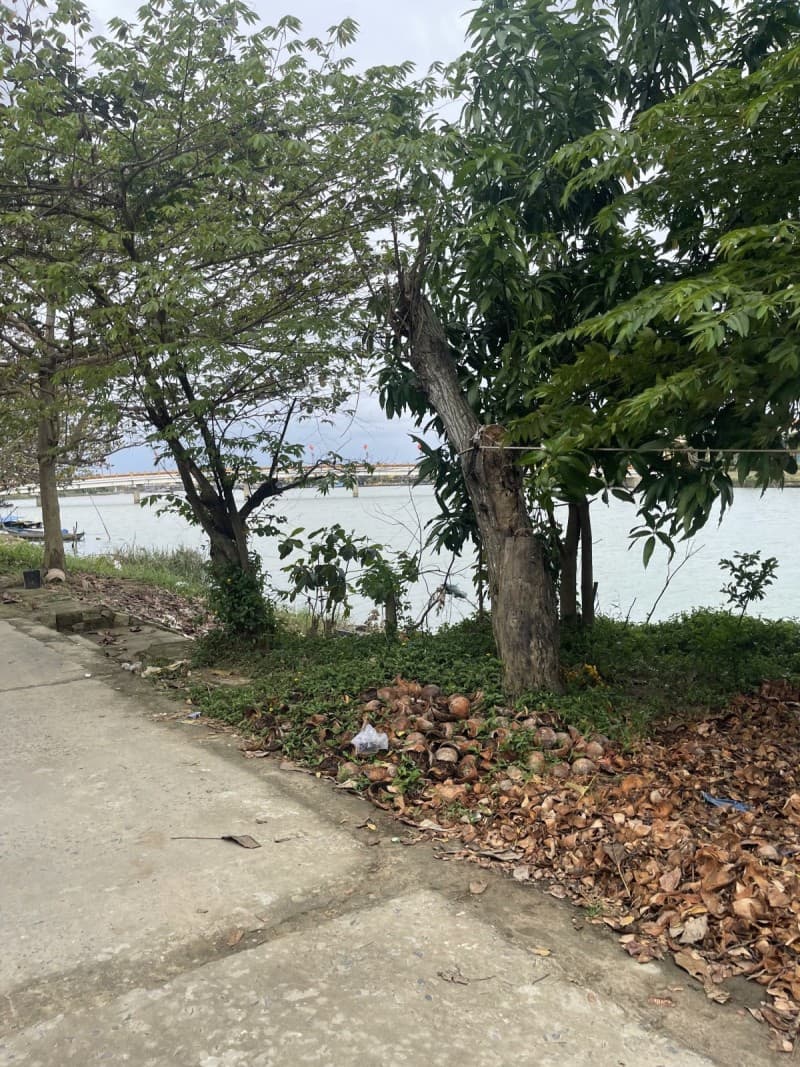 Đất 197.3m² mặt tiền 18m Đường Lương Như Bích, Hội An — tiềm năng kinh doanh, mặt tiền đường lớn, ô tô đỗ cửa, tiềm năng tăng giá