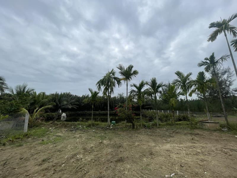 Đất 532m² mặt tiền 15m Thanh Nhì DX17, Hội An — tiềm năng kinh doanh, mặt tiền đường lớn, ô tô đỗ cửa, có dòng tiền