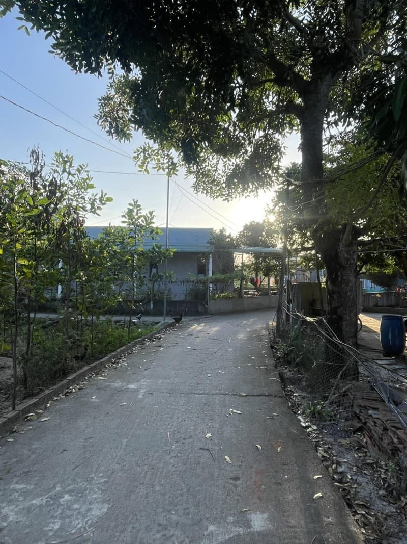 Đất 113.5m² mặt tiền 5m Thăng Bình, Hội An — ô tô đỗ cửa