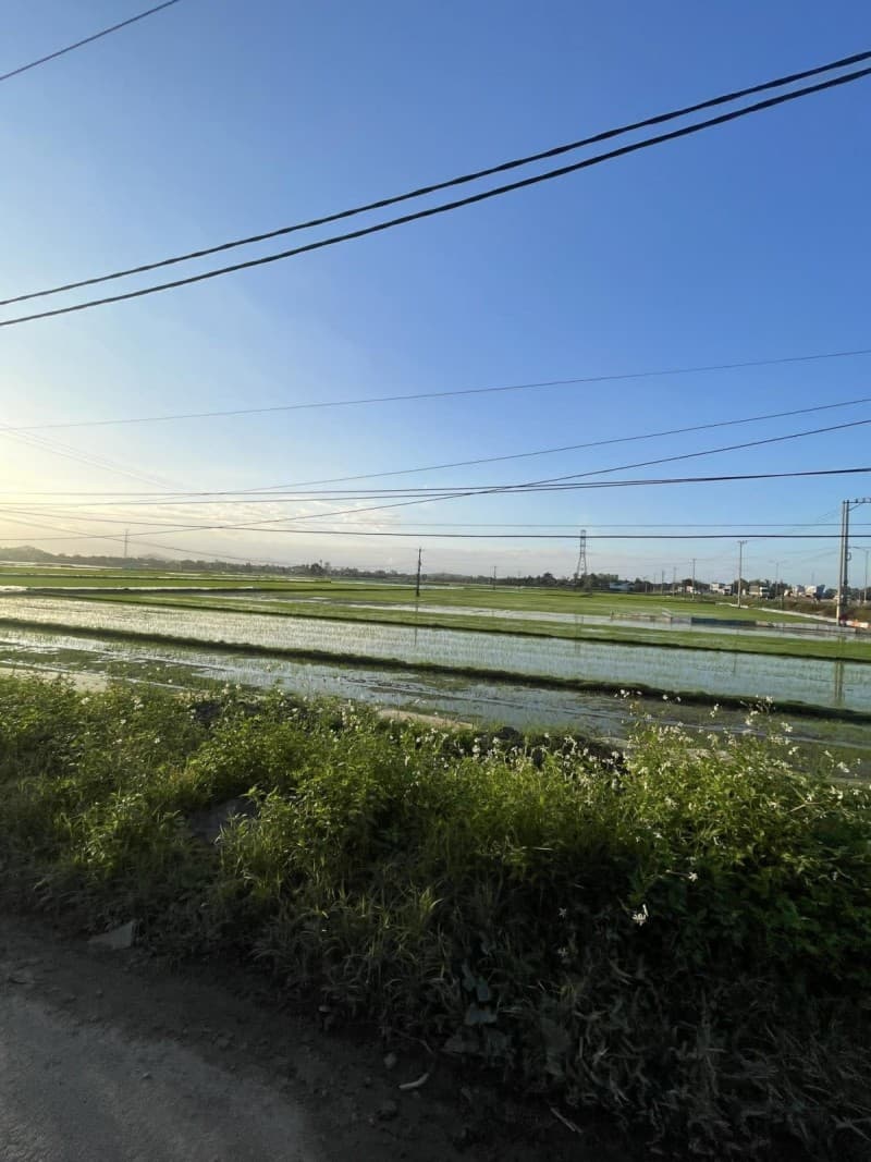 Đất 117m² mặt tiền 6m Thăng Bình, Hội An — mặt tiền đường lớn, ô tô đỗ cửa