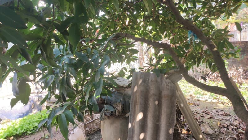 Đất 102m² mặt tiền 7m XXXThôn Hà Nha xã Đại Đồng Đại Lộc, Điện Bàn — gần chợ, gần trường học, mặt tiền đường lớn, ô tô đỗ cửa