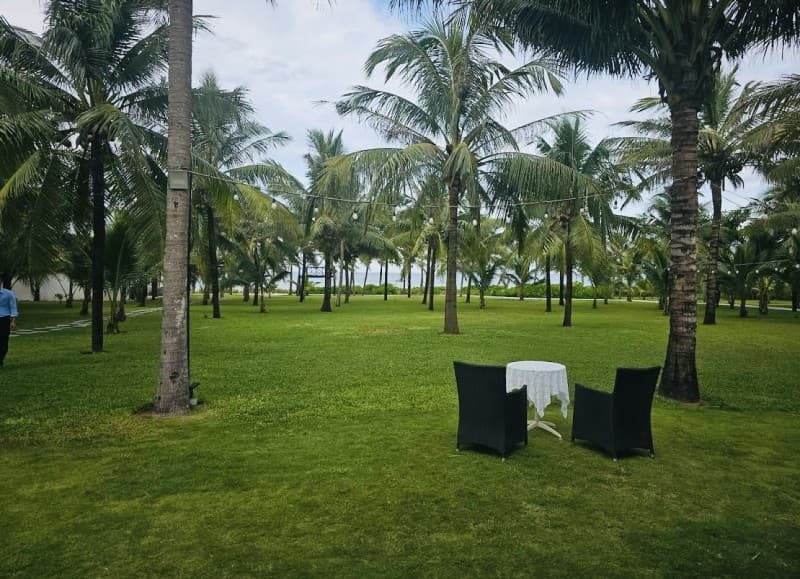 Đất 3309.6m² mặt tiền 52m Thanh Niên, Điện Bàn — gần biển, gần chợ, gần trường học, tiềm năng kinh doanh