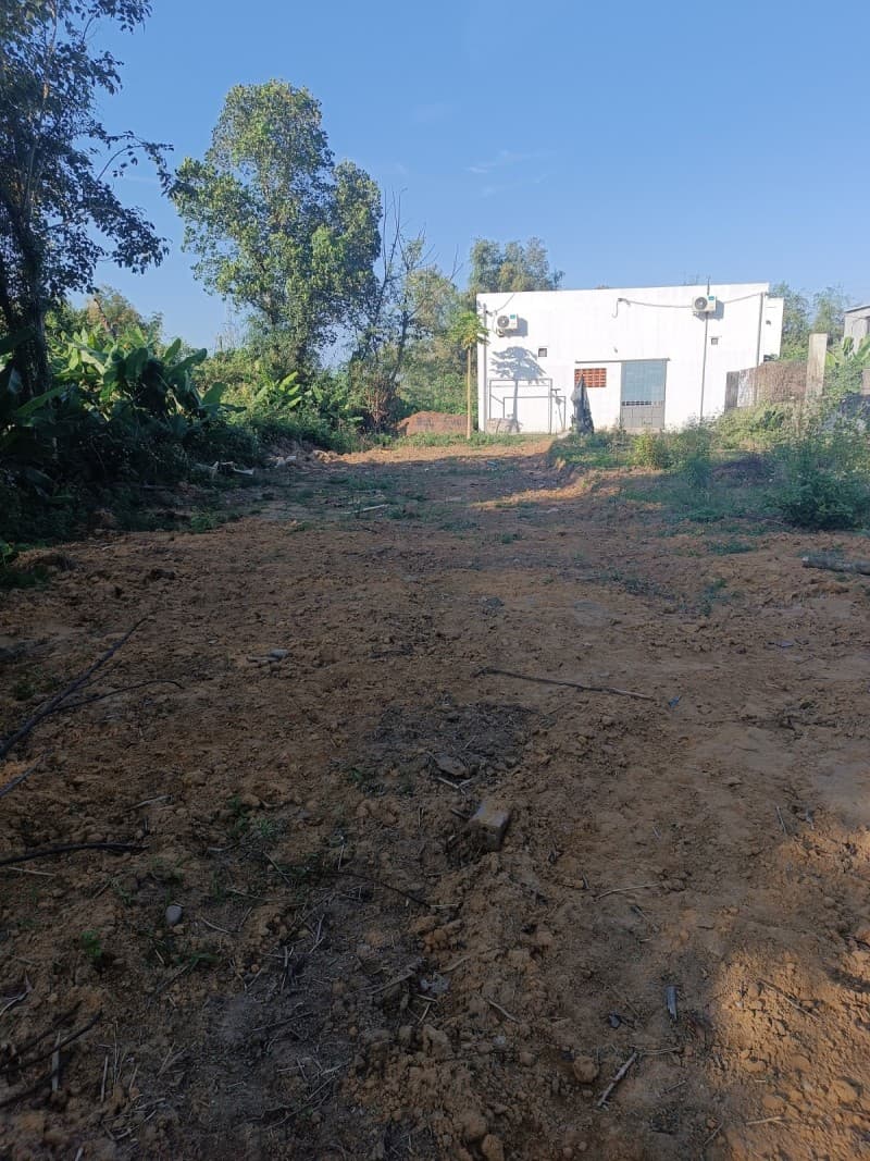 Đất 135m² mặt tiền 4.5m Hoà Xuân Mới, Hoà Vang — ô tô đỗ cửa