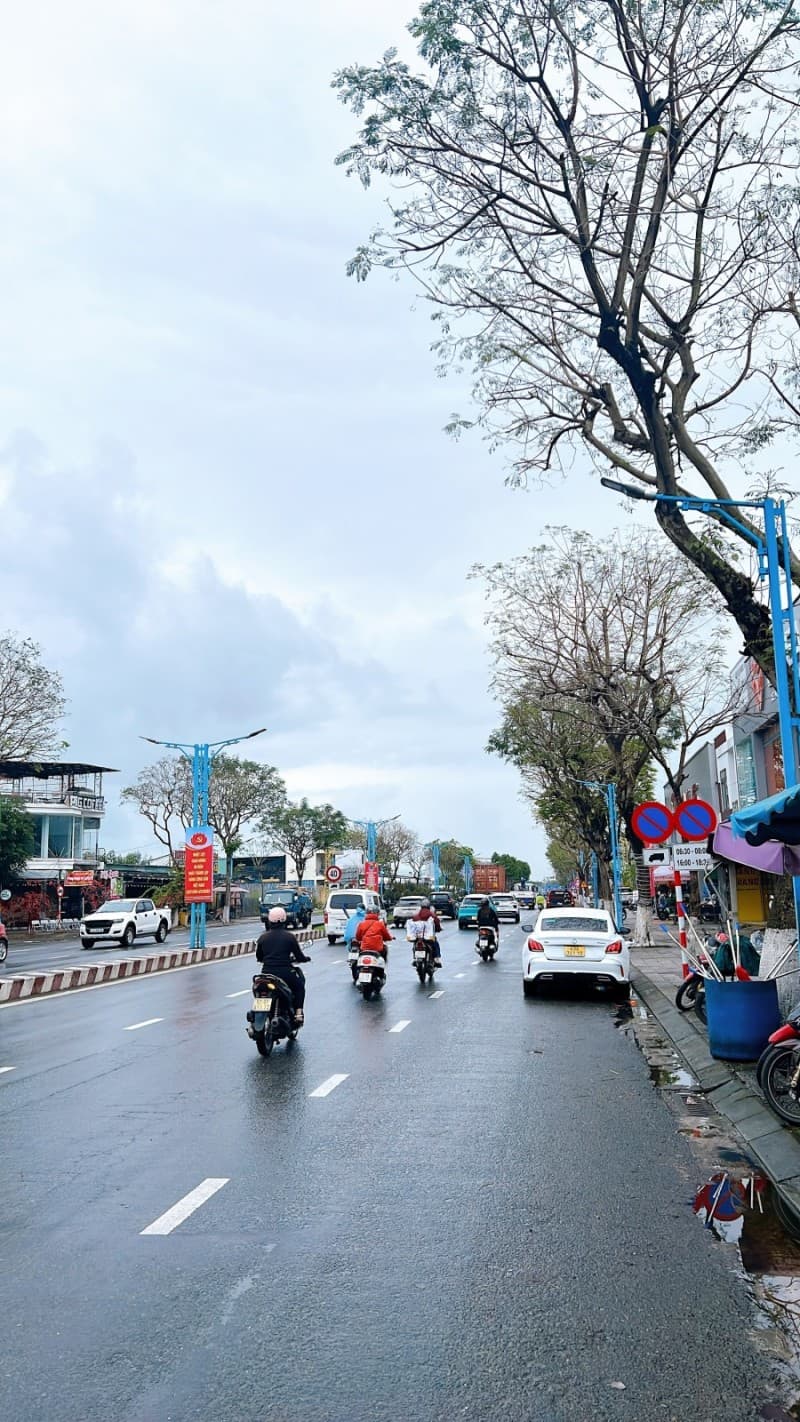 Đất 100m² mặt tiền 5m Lê Đại Hành, Cẩm Lệ — gần trường học, tiềm năng kinh doanh, mặt tiền đường lớn, ô tô đỗ cửa