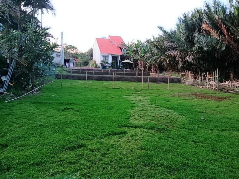 Đất 80m² mặt tiền 5.6m Cẩm Châu, Hội An — tiềm năng kinh doanh, mặt tiền đường lớn, tiềm năng tăng giá, khai thác du lịch