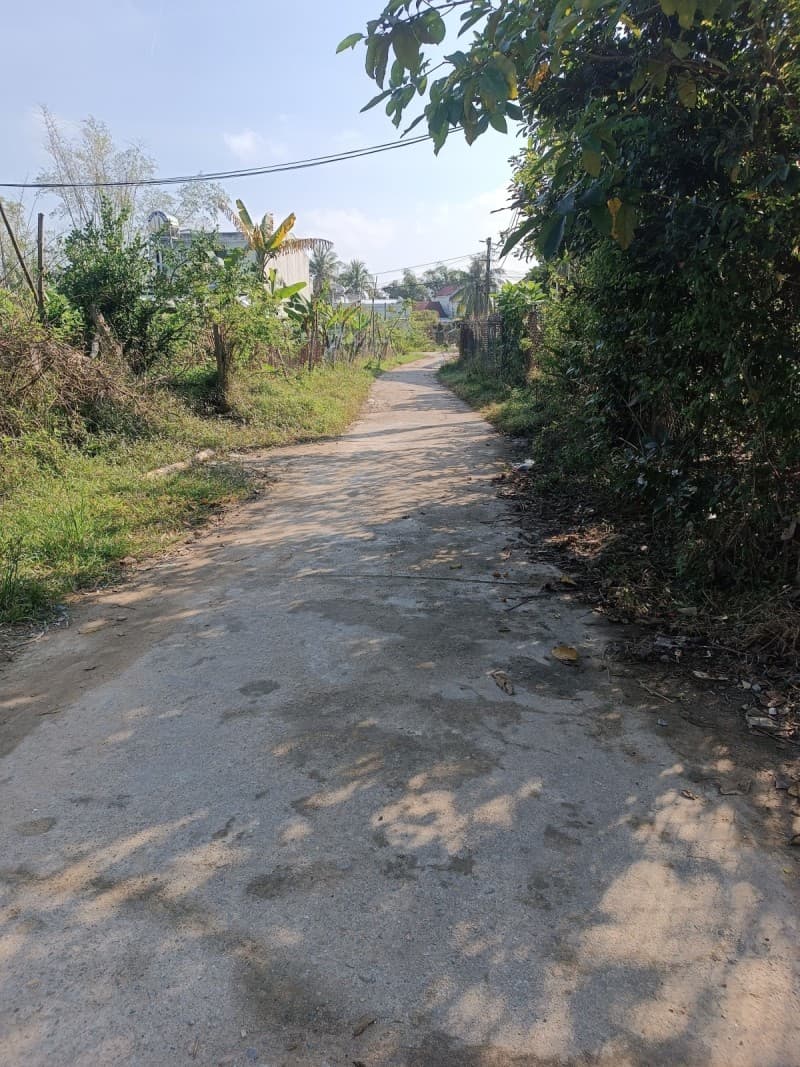 Đất 120m² mặt tiền 5.9m Hòa Tiến, Hoà Vang — ô tô đỗ cửa