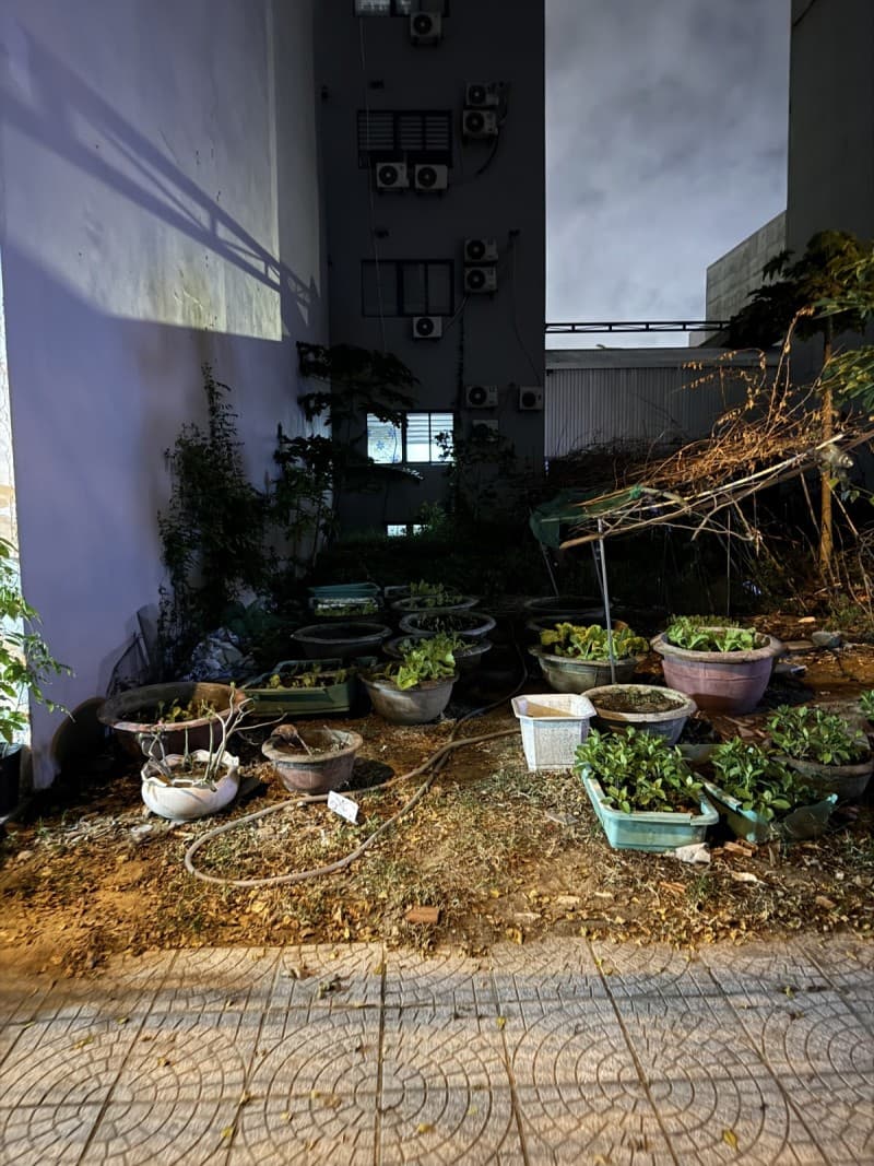 Đất 80m² mặt tiền 5m Trần Đức Thông, Sơn Trà — gần biển, tiềm năng kinh doanh, mặt tiền đường lớn, ô tô đỗ cửa