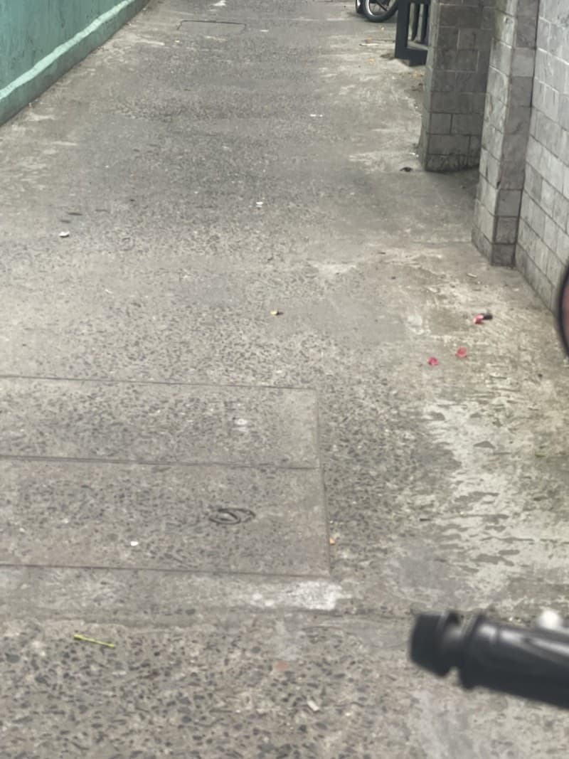 Nhà cấp 4 85m² mặt tiền 4.5m Lê Trọng Tấn, Cẩm Lệ — mặt tiền đường lớn, ô tô đỗ cửa