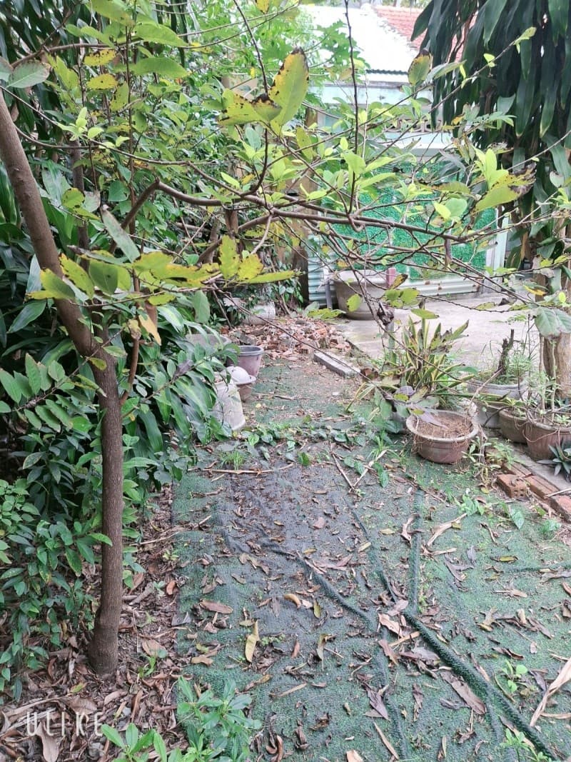 Đất 62m² mặt tiền 4m Bình Thái 4, Cẩm Lệ — gần chợ, gần trường học, gần bệnh viện, mặt tiền đường lớn