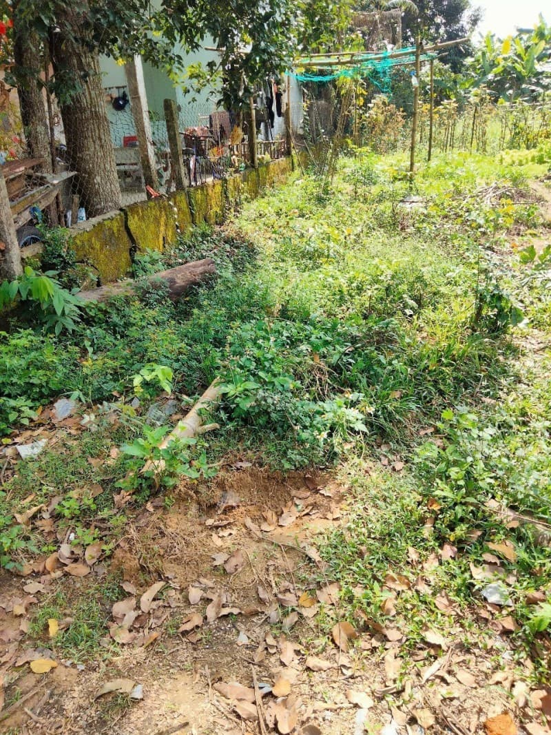 Đất 104m² mặt tiền 5.5m Thôn Phú Nham, Hoà Vang — gần chợ, gần trường học, tiềm năng tăng giá