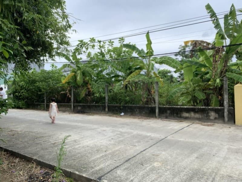 Đất 290m² mặt tiền 9m Trà Kiểm 1 Thôn Tân Hạnh Xã Hòa Phước Hòa Vang, Hoà Vang — ô tô đỗ cửa, tiềm năng tăng giá