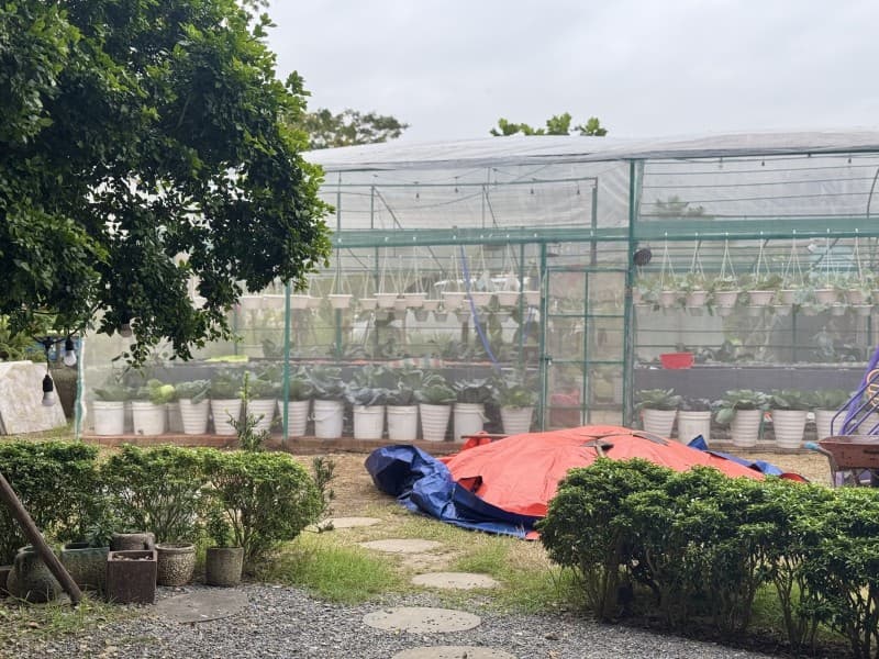 Đất 300m² mặt tiền 12m Bằng Lăng Euro Villa, Sơn Trà — gần biển, tiềm năng kinh doanh, mặt tiền đường lớn, ô tô đỗ cửa