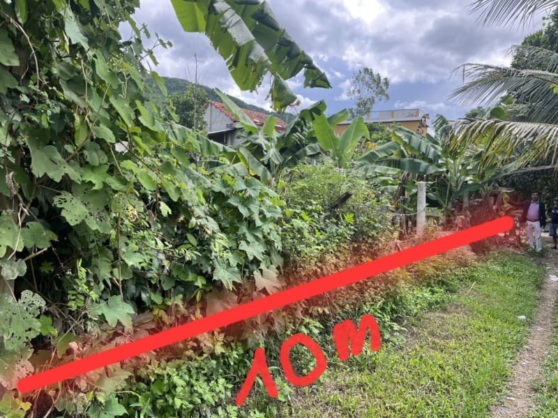 Đất 588.1m² mặt tiền 10m Thôn Nam Yên Xã Hoà Bắc, Hoà Vang — tiềm năng kinh doanh, mặt tiền đường lớn, ô tô đỗ cửa, tiềm năng tăng giá