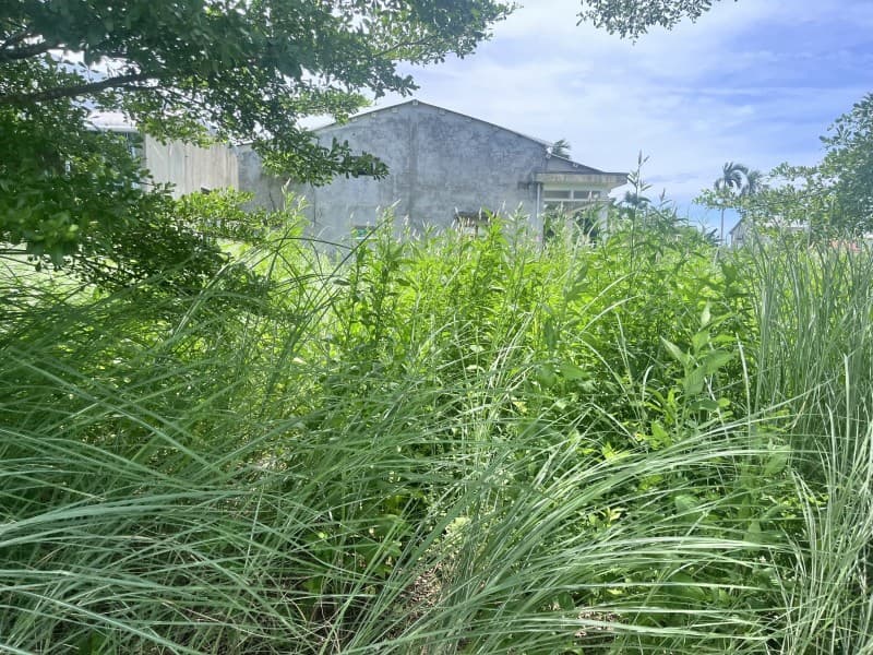 Đất 306.7m² mặt tiền 19m Hùng Vương, Điện Bàn — ô tô đỗ cửa