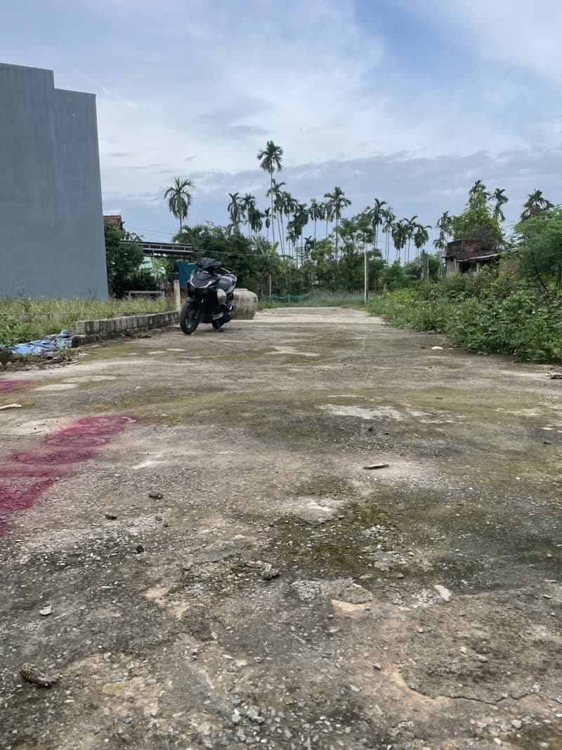 Nhà 163m² (6.7x24.3) Thôn Tân Hạnh Hòa Vang