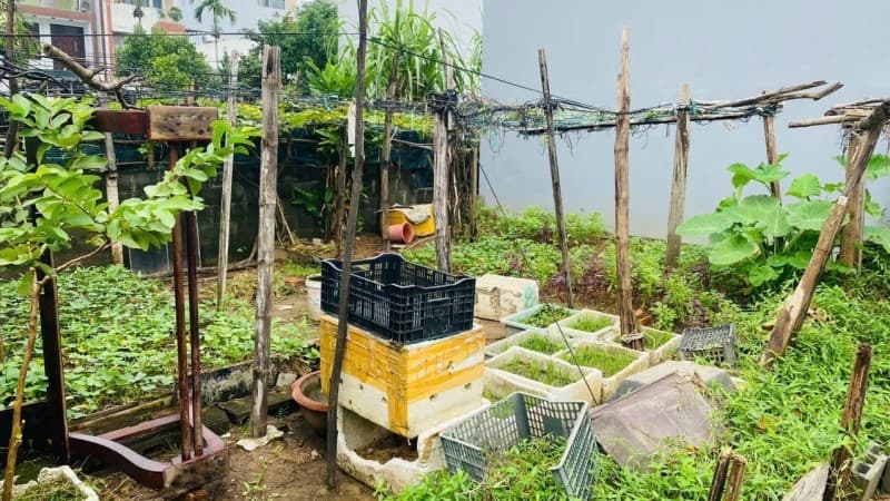 Đất 127.6m² mặt tiền 8.1m Sơn Thuỷ 12, Ngũ Hành Sơn — gần biển, gần trường học, gần bệnh viện, tiềm năng kinh doanh