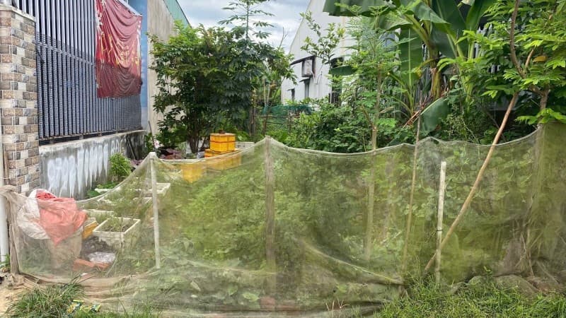 Đất 117m² mặt tiền 5m Hoà Sơn, Hoà Vang — gần chợ, gần trường học, gần bệnh viện, tiềm năng kinh doanh