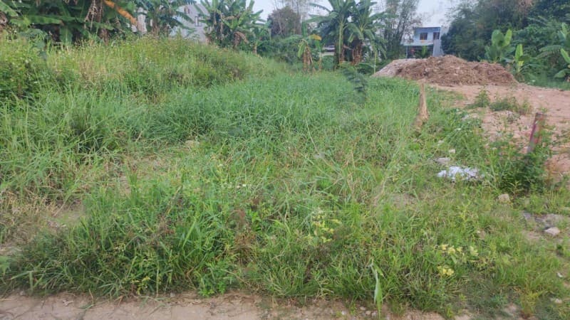 Đất 150m² mặt tiền 6.3m Cẩm Nê, Hoà Vang — gần chợ, gần trường học, ô tô đỗ cửa