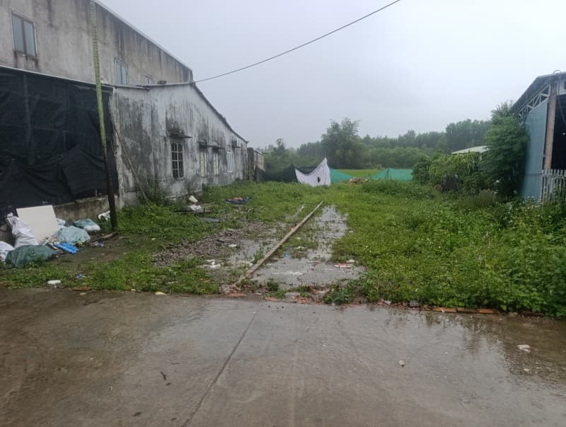 Nhà 181m² (6.5x27.8) Đông Phú 2 Đại Hiệp Quảng Nam — kinh doanh tốt