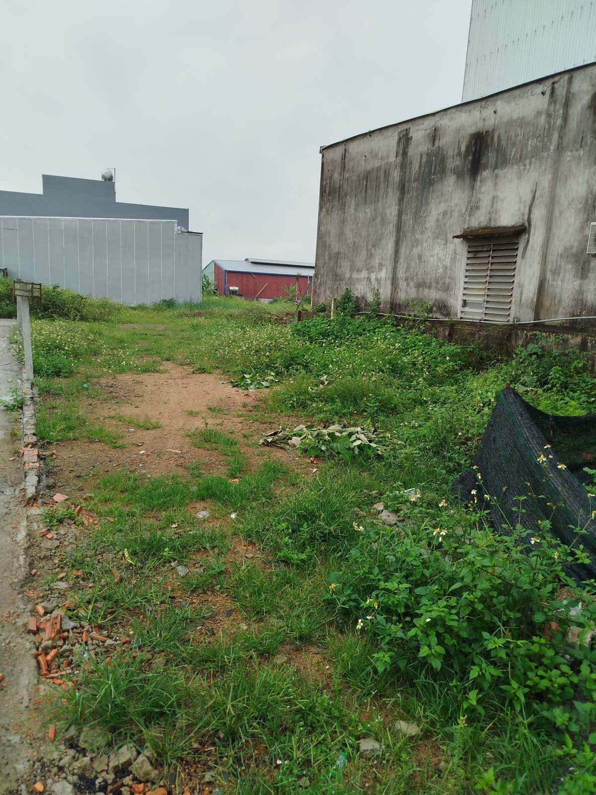 Đất 97m² mặt tiền 7.1m Trinh đường, Cẩm Lệ — tiềm năng kinh doanh, mặt tiền đường lớn, ô tô đỗ cửa, tiềm năng tăng giá