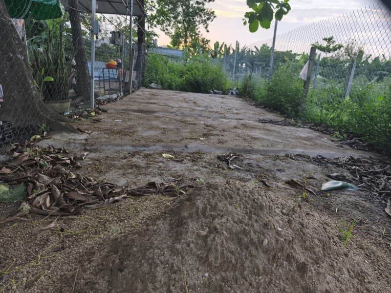 Nhà 80m² (4x20) mặt tiền Giấy tờ ba lá) MT Mẹ Suốt Tổ 42 Phường Hòa Khánh Nam Quận Liên chiểu Hải Châu — kinh doanh tốt, có dòng tiền