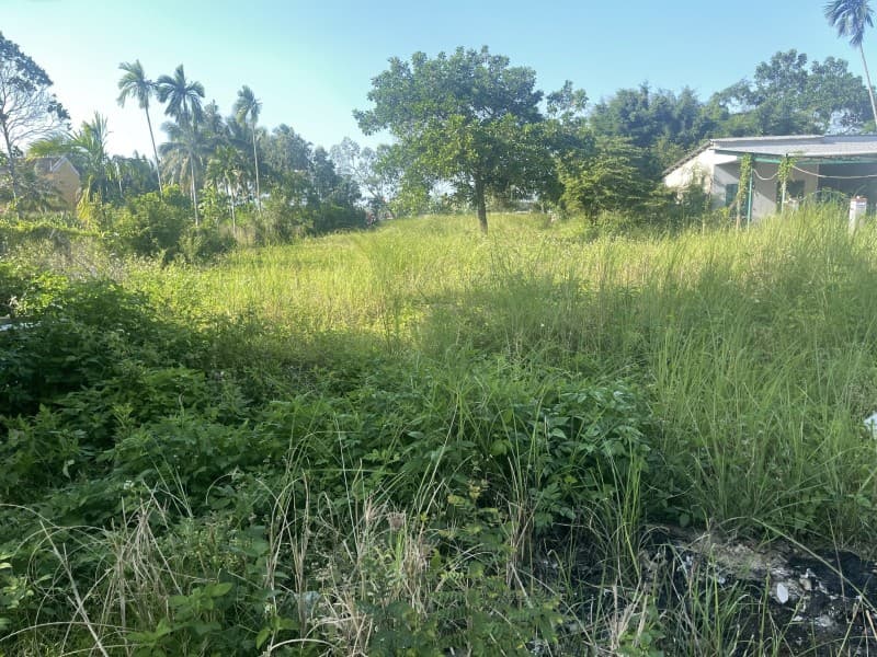 Nhà 260m² (10.3x25.2) mặt tiền Nguyễn Tri Phương Hội An — view đẹp