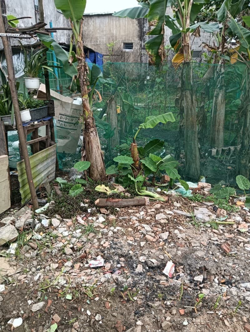 Đất 80m² mặt tiền 5m Mẹ Suốt, Liên Chiểu — ô tô đỗ cửa