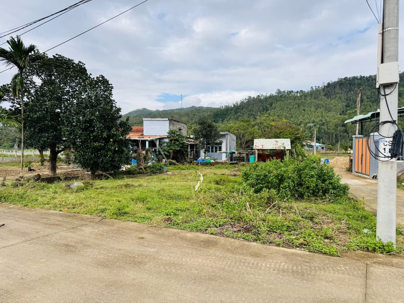 Đất 291m² mặt tiền 12m Trường Đinh, Hoà Vang — gần biển, ô tô đỗ cửa, tiềm năng tăng giá, khai thác du lịch