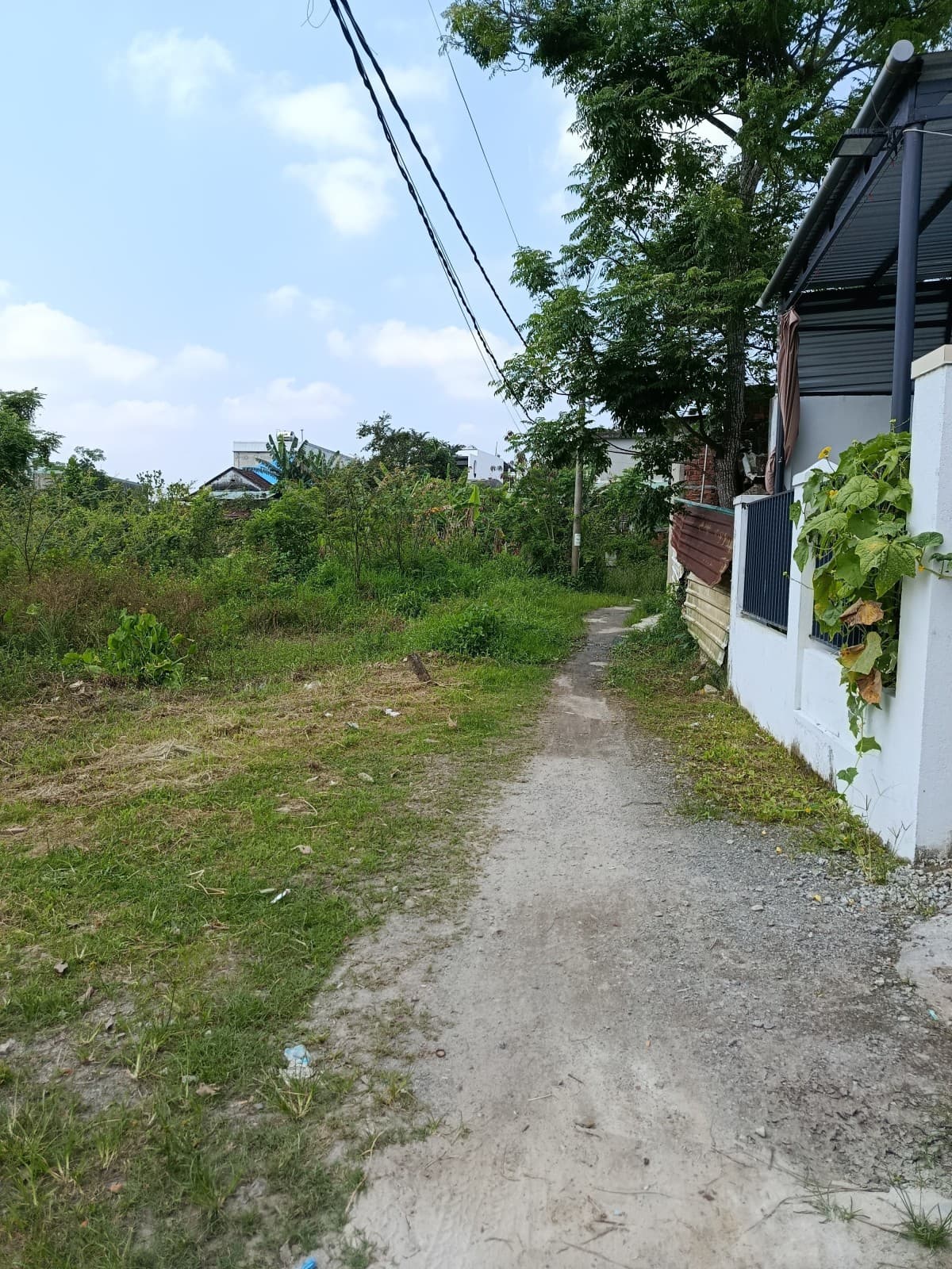 Đất 110m² mặt tiền 5m Hòa Tiến, Hoà Vang — gần chợ, gần trường học, ô tô đỗ cửa