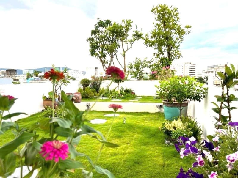 Nhà 5 tầng 75.5m² mặt tiền 5m Thi Sách, Hải Châu — gần biển, gần chợ, gần trường học, tiềm năng kinh doanh