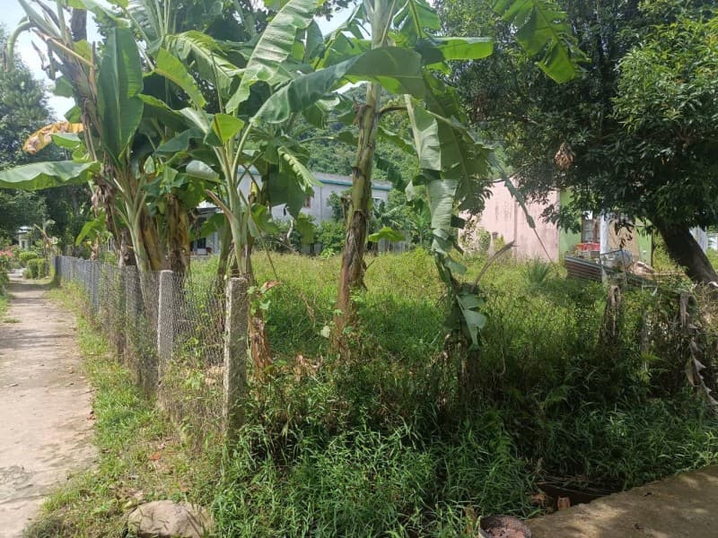 Nhà cấp 4 1541.4m² mặt tiền 35m Thôn Nam Yên Xã Hoà Bắc, Hoà Vang — mặt tiền đường lớn, ô tô đỗ cửa