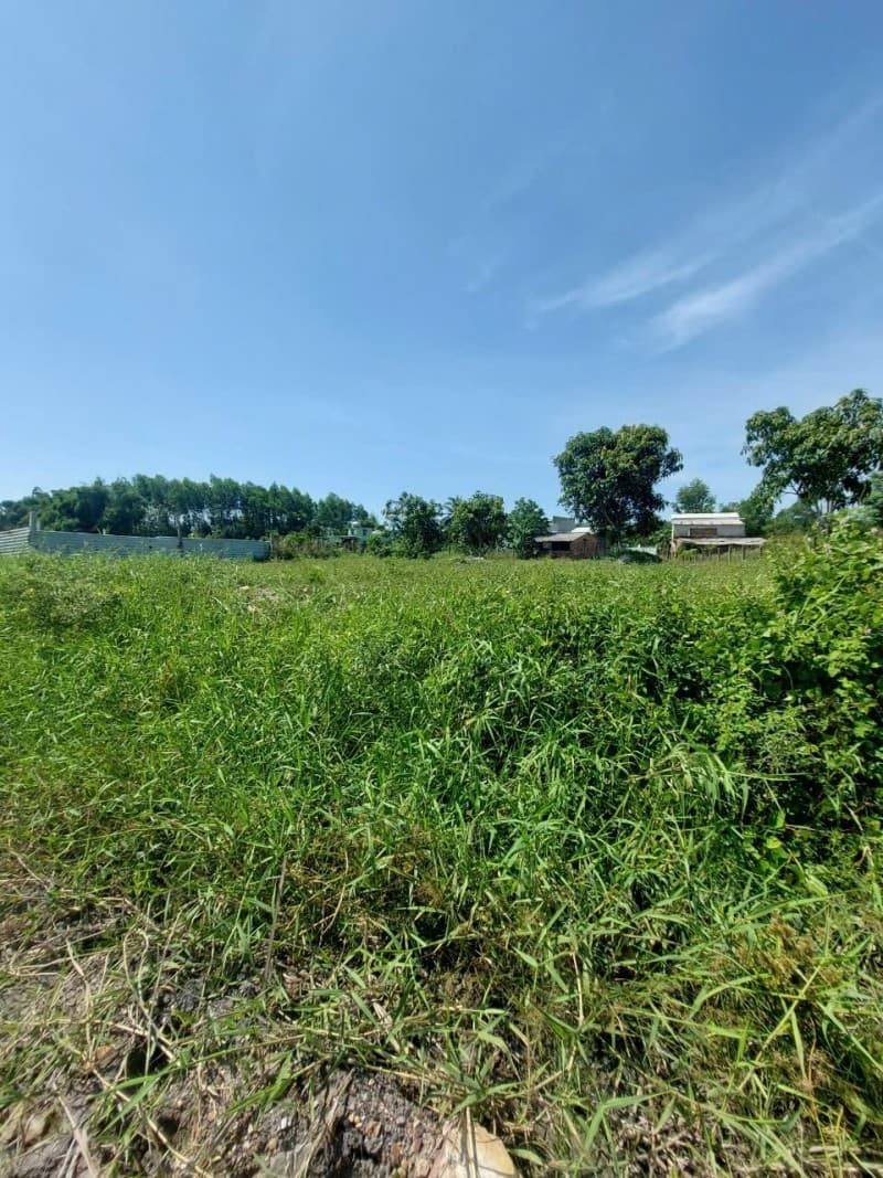 Đất 280m² mặt tiền 280m Thôn Phú Túc, Hoà Vang — mặt tiền đường lớn, tiềm năng tăng giá, khai thác du lịch