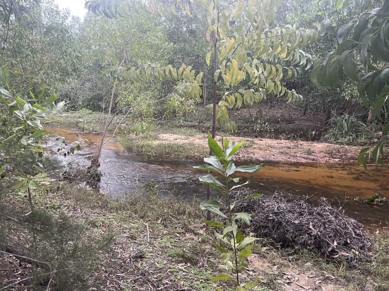 Đất 1679.2m² mặt tiền 80m Bình Dương Thăng Bình, Điện Bàn — gần biển, mặt tiền đường lớn, ô tô đỗ cửa