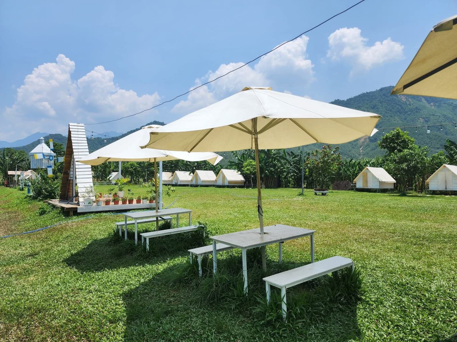 Đất 3655m² mặt tiền 50m Thôn Phò Nam, Hòa Bắc — gần sông Cu Đê, tiềm năng kinh doanh, mặt tiền đường lớn, ô tô đỗ cửa