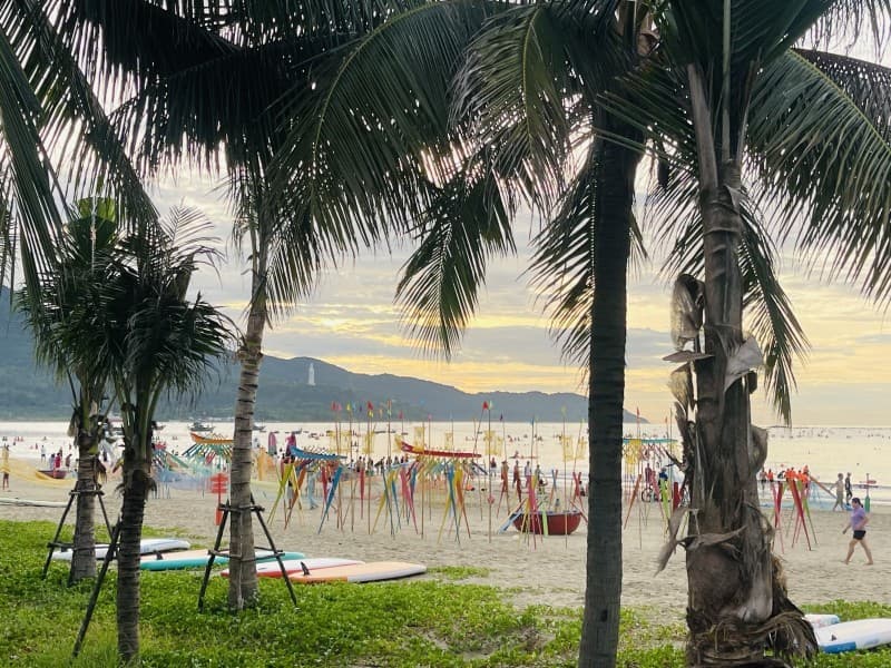 Đất 256m² mặt tiền 16m Trần Đức Thông, Sơn Trà — gần biển, tiềm năng kinh doanh, mặt tiền đường lớn, có dòng tiền