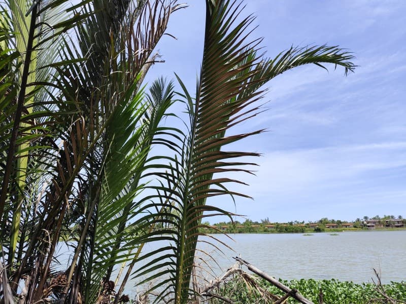 Nhà 13 tầng 429m² Nguyễn Khoa, Hội An — tiềm năng kinh doanh, ô tô đỗ cửa, tiềm năng tăng giá, có dòng tiền