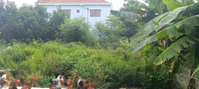 Đất 120m² mặt tiền 6m Thôn Nam Sơn, Hoà Vang