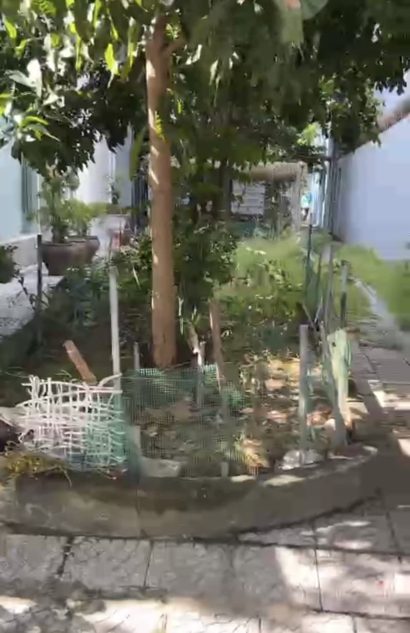 Nhà 4 tầng 112m² mặt tiền 5m Đỗ Đăng Đệ, Cẩm Lệ — tiềm năng kinh doanh, mặt tiền đường lớn, ô tô đỗ cửa