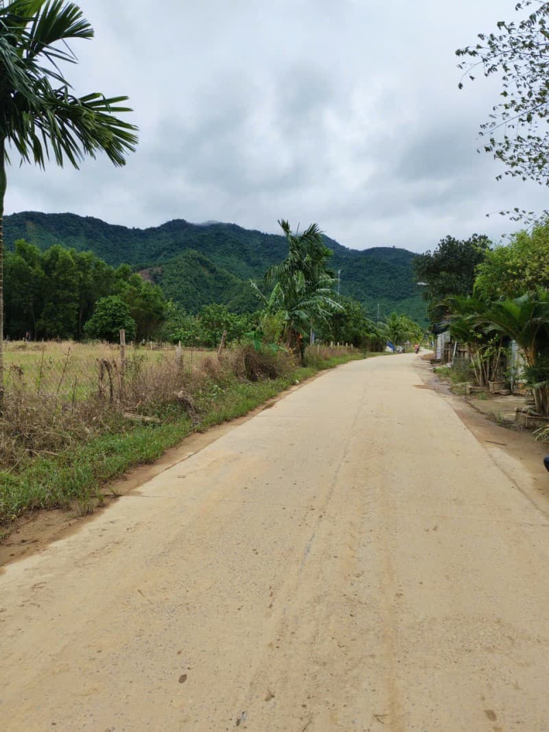 Đất 838.4m² mặt tiền 29.75m Thôn Nam Yên Xã Hoà Bắc, Hoà Vang — gần trường học, mặt tiền đường lớn, ô tô đỗ cửa, tiềm năng tăng giá