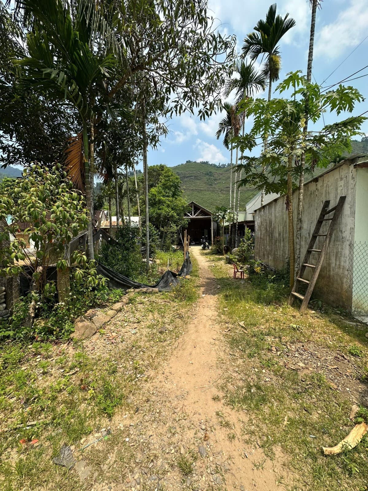 Đất 335.1m² mặt tiền 6.5m Thôn Giàn Bí Xã Hoà Bắc, Hoà Vang — gần chợ, gần trường học, tiềm năng kinh doanh, mặt tiền đường lớn