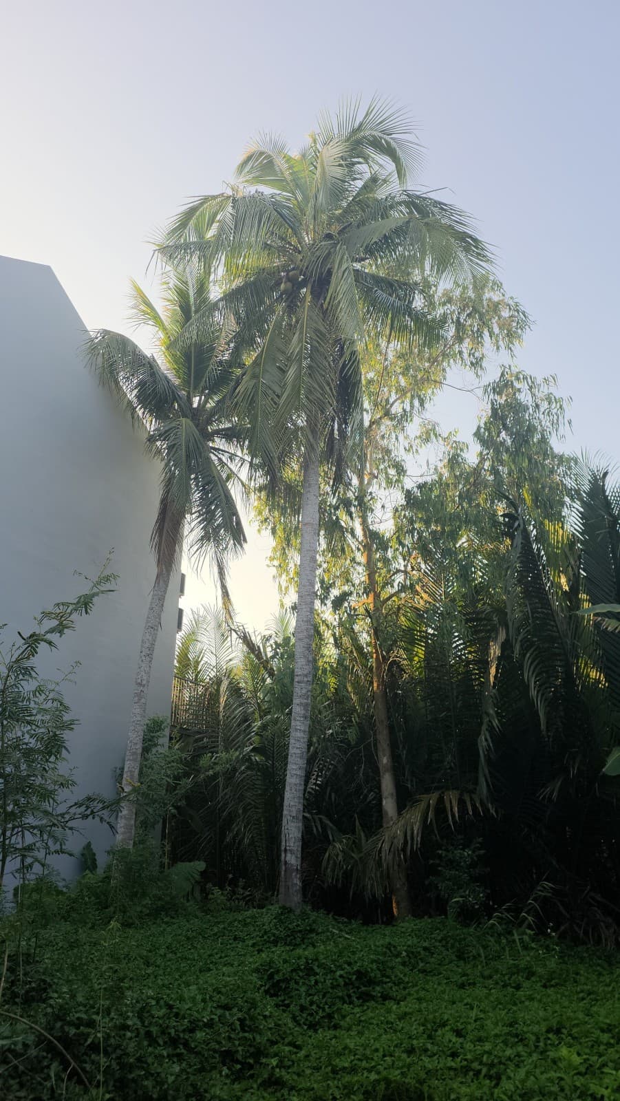 Đất 190.3m² mặt tiền 6m Hẻm Trần Nhân Tông, Hội An — ô tô đỗ cửa, có dòng tiền, khai thác du lịch, hồ bơi