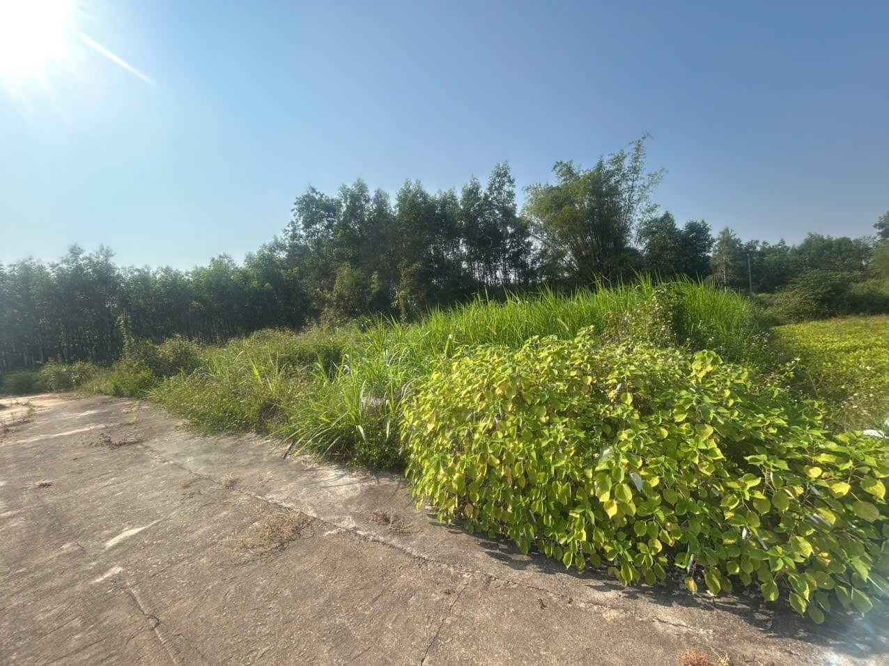 Đất 143m² mặt tiền 5m Thôn Phước Đức, Quế Sơn Trung, Đà Nẵng, Điện Bàn — gần chợ, gần trường học, ô tô đỗ cửa, tiềm năng tăng giá