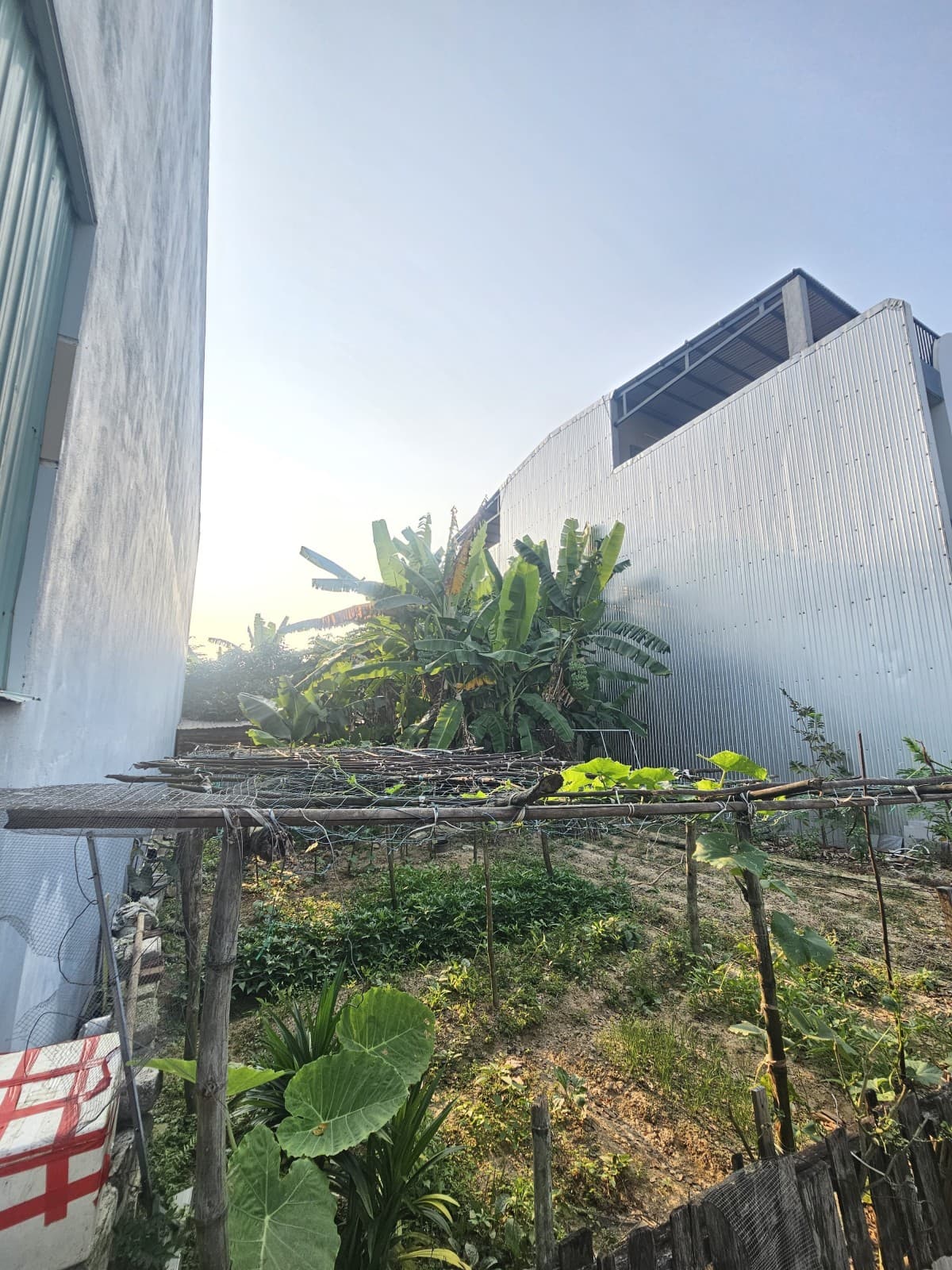 Đất 100m² mặt tiền 5m Trần Minh Thiệt, Ngũ Hành Sơn — tiềm năng kinh doanh, mặt tiền đường lớn, đường 10.5m, ô tô đỗ cửa